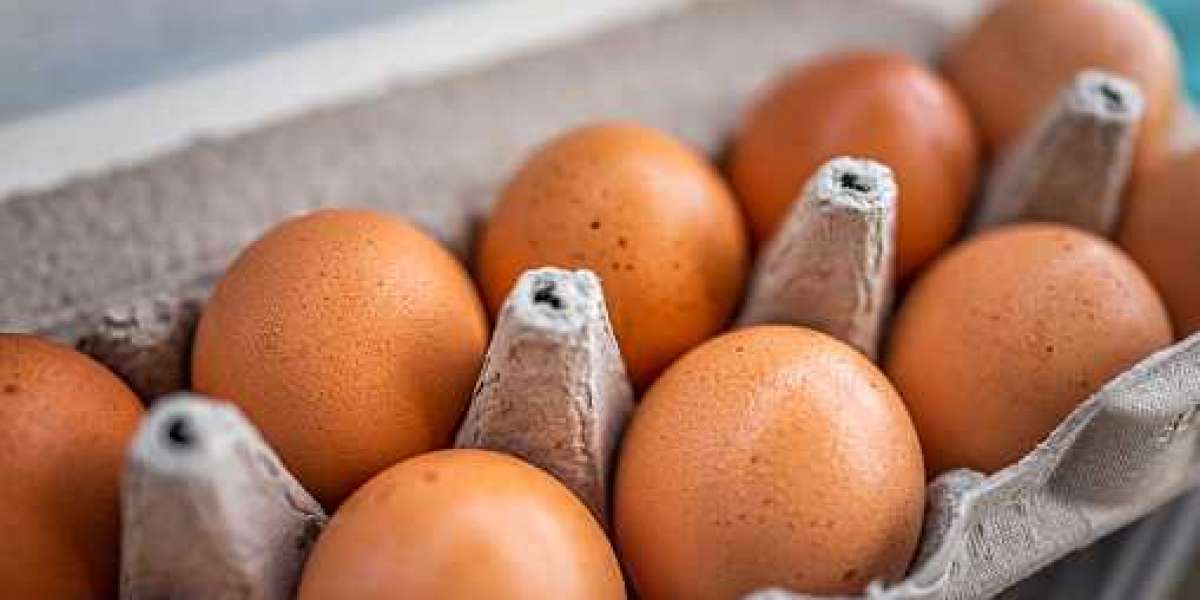 Cage Free Eggs Industry Distribution Channel, Top Competitor, Regional Segmentation| Forecast