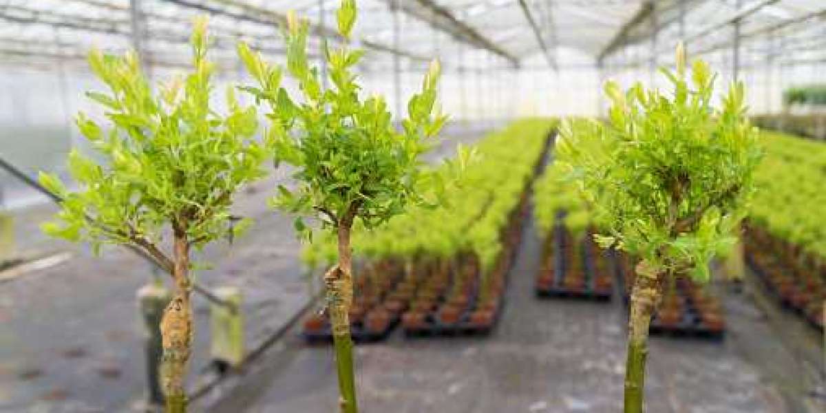 Agricultural Inoculants Industry Forecast, Regional Trend, Demand, Growth Rate, Profit Ratio