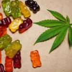 Maggie Beer Gummies Australia Profile Picture