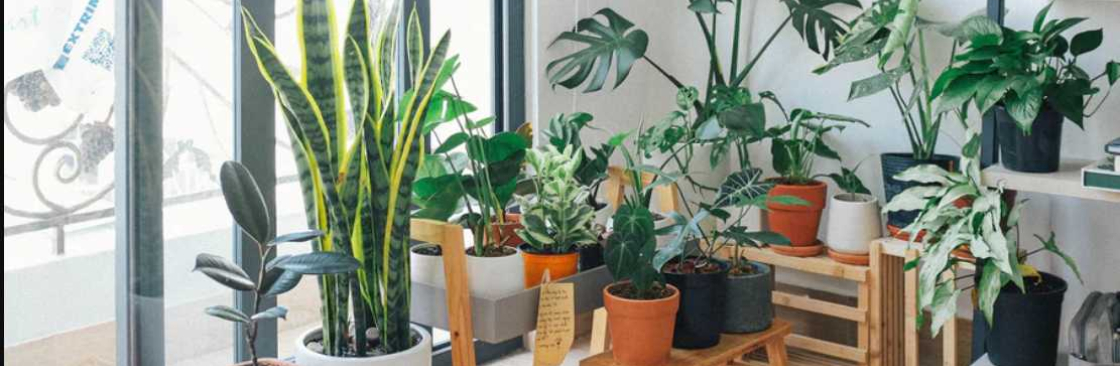 The Modern Gardens Cover Image