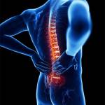 cannaorganicgreen cbdgummies Profile Picture