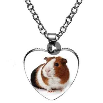 Guinea Pig Heart Necklace 2 Profile Picture