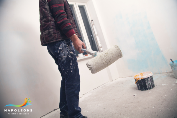 Four Reasons Why You Should Definitely Hire A Professional Painter in Blakehurst – Napoleons Painting and Plastering