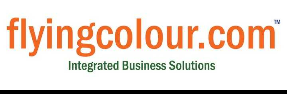 Flyingcolour Accounting Services Dubai Cover Image