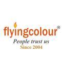 Flyingcolour Accounting Services Dubai Profile Picture