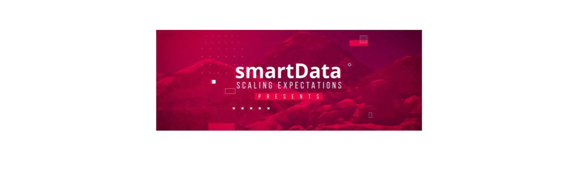 smartData Enteprises Inc Cover Image