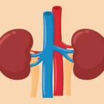 Kidney Treatment in India Profile Picture