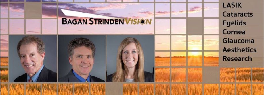 Bagan Strinden Vision Cover Image