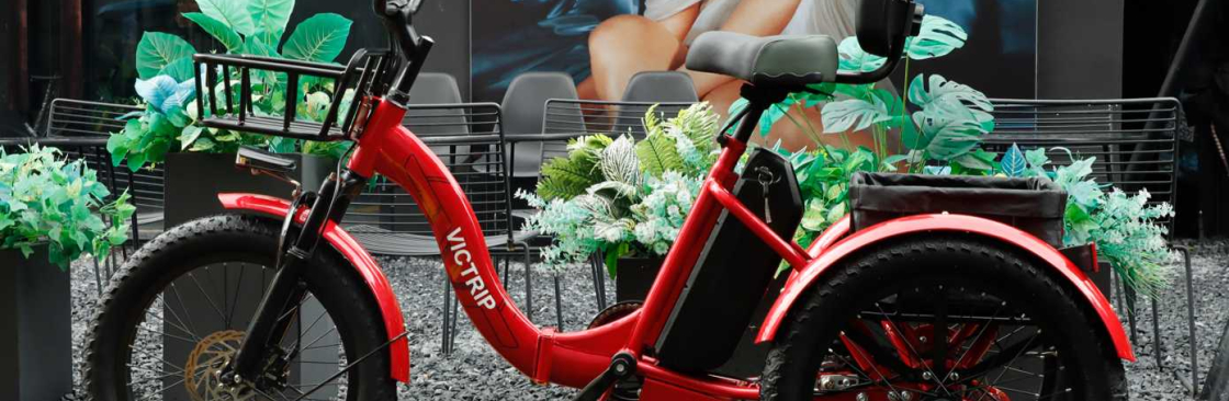 VICTRIP Ebike Cover Image